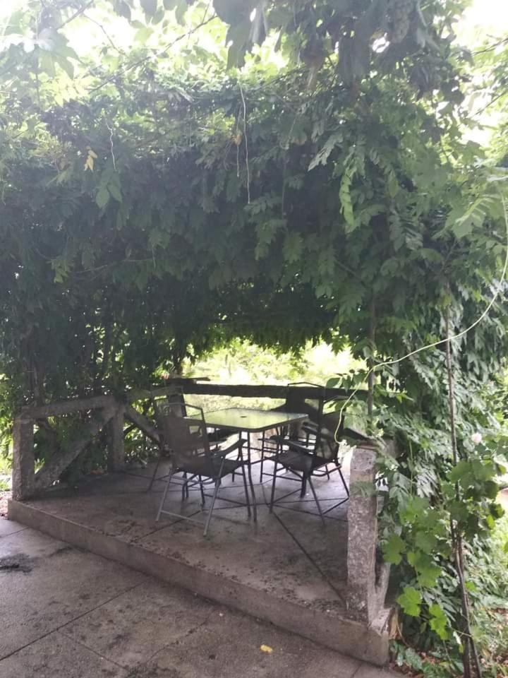 Casa Da Vovo Villa Amarante Bilik gambar